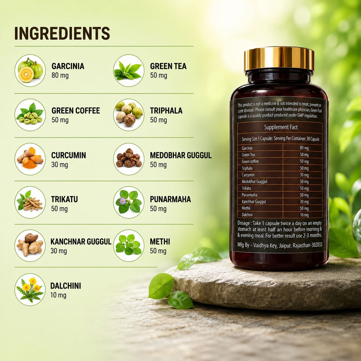Fat Burner — Metabolism & Weight Management Capsules