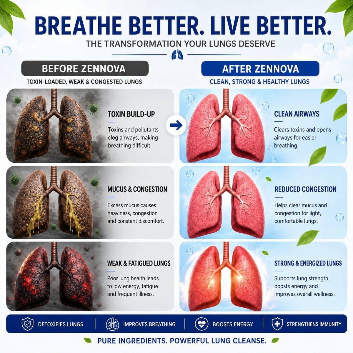 Lungs Detox — Respiratory Wellness Capsules