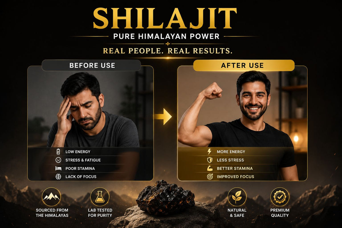 Shilajit Power — Energy & Stamina Capsules